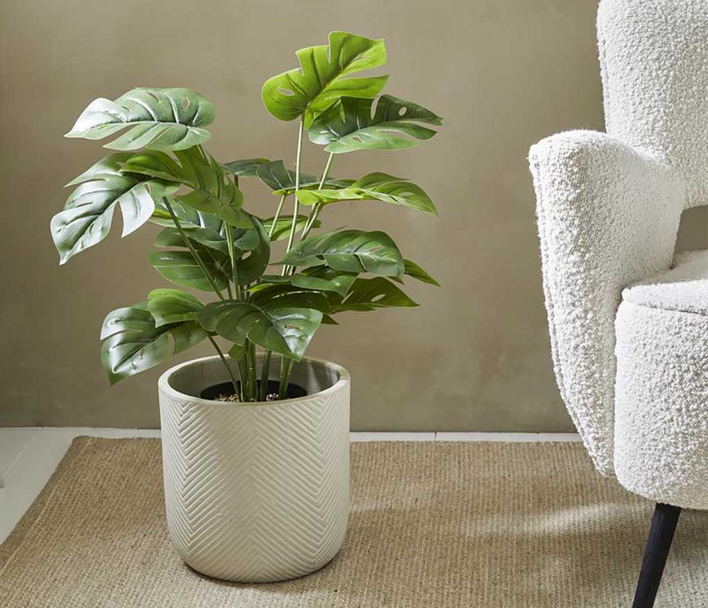 Action kunstplant Monstera