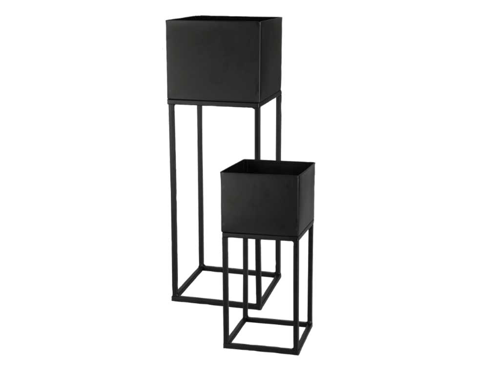 Aldi plantenstandaardset