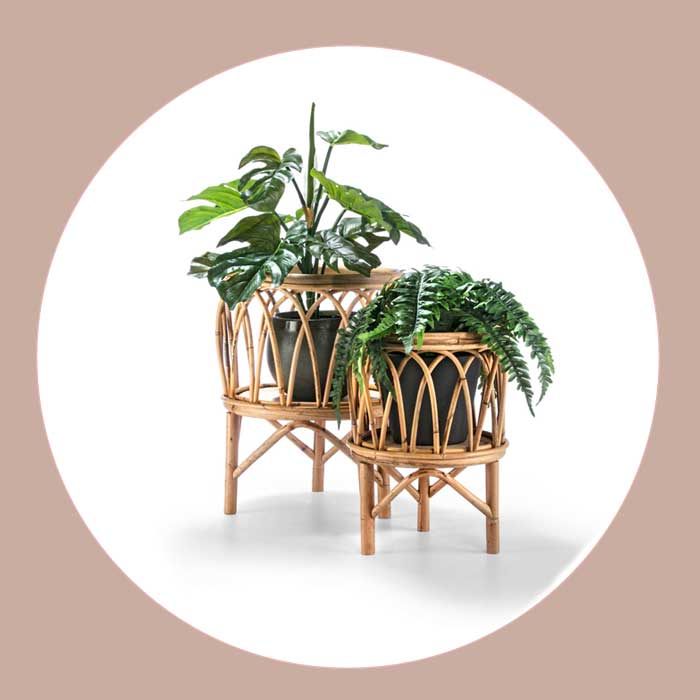 Blokker Bali set plantenstandaarden