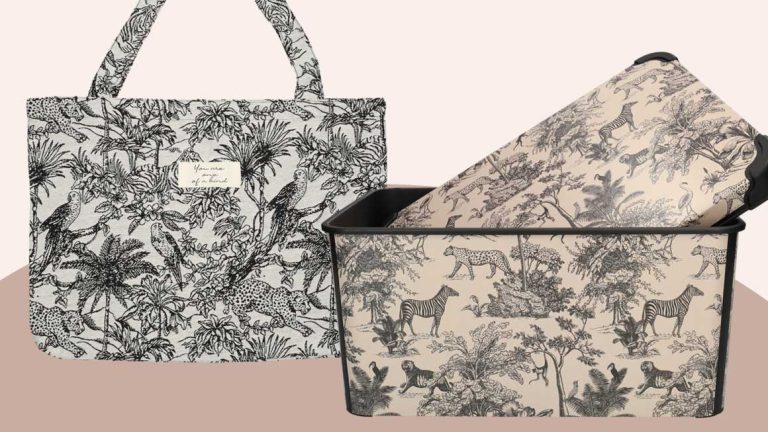 Wibra dior lookalike tas en opbergbox