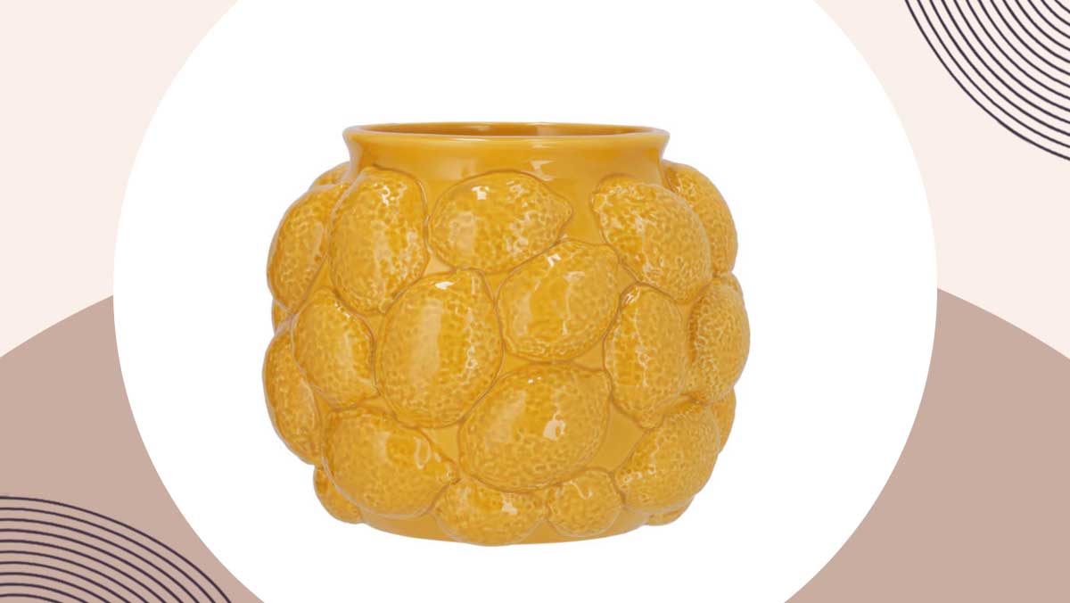 blokker bloempot met citroenen